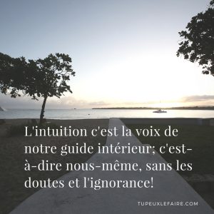 Comment Discerner Et Utiliser Votre Intuition Pour Realiser Vos Reves Tu Peux Le Faire